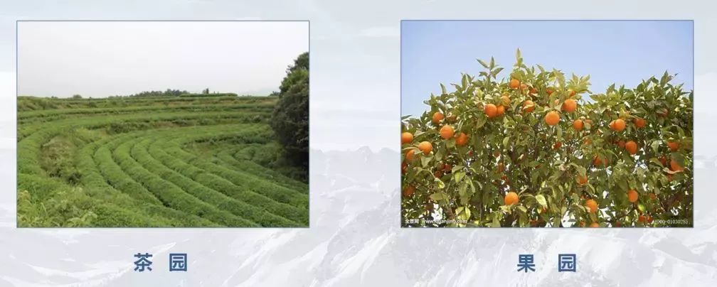 测绘人正在做的：什么是“三调”？