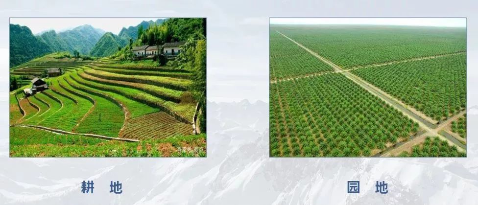 测绘人正在做的：什么是“三调”？